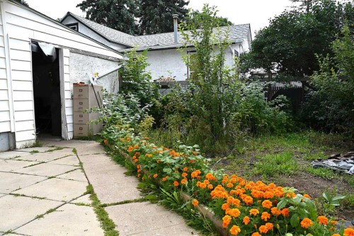 127 2 Street East, Brooks, AB - Outdoor