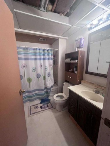 4501 East Service Road, Coronation, AB - Indoor Photo Showing Bathroom