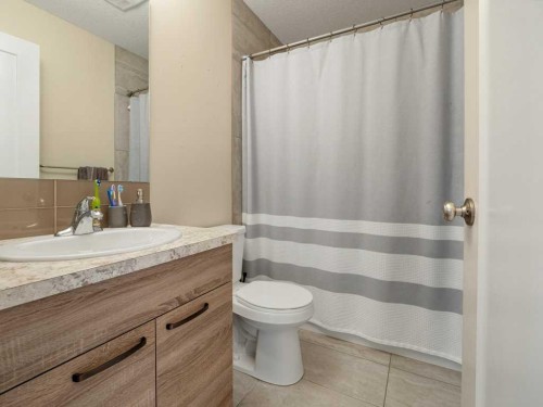 1006 Alice Birch Point North, Lethbridge, AB - Indoor Photo Showing Bathroom