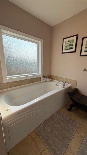 219 1 Avenue East, Youngstown, AB - Indoor Photo Showing Bathroom