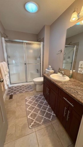 219 1 Avenue East, Youngstown, AB - Indoor Photo Showing Bathroom