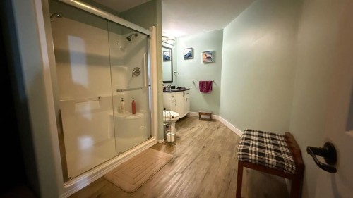 219 1 Avenue East, Youngstown, AB - Indoor Photo Showing Bathroom