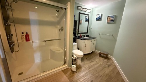 219 1 Avenue East, Youngstown, AB - Indoor Photo Showing Bathroom