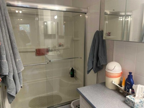 335035 Range Road 271, Rural Kneehill County, AB - Indoor Photo Showing Bathroom