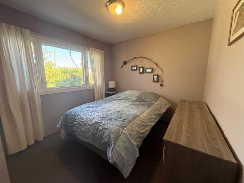 816 James Crescent, Hanna, AB - Indoor Photo Showing Bedroom