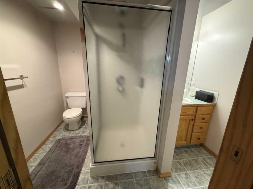 816 James Crescent, Hanna, AB - Indoor Photo Showing Bathroom