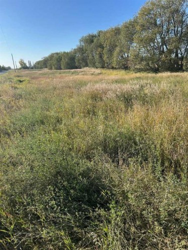 Twship Road 374, Rural Red Deer County, AB 