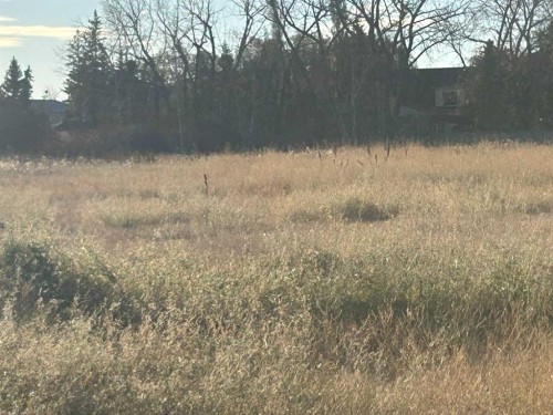 700 11 Ave Ne, Three Hills, AB 