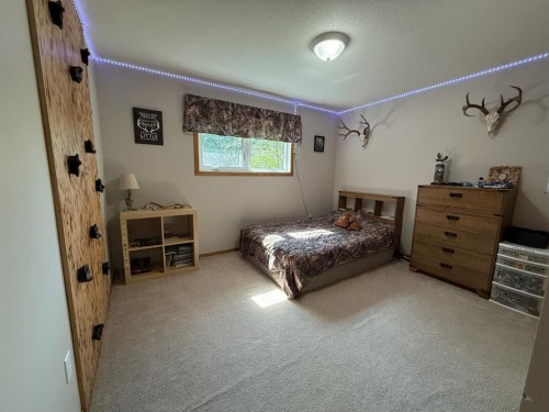 92 Beech Street, Drumheller, AB - Indoor Photo Showing Bedroom
