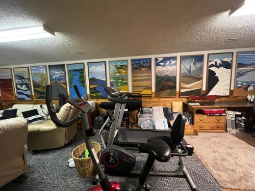 704 Bankview Drive, Drumheller, AB - Indoor Photo Showing Gym Room