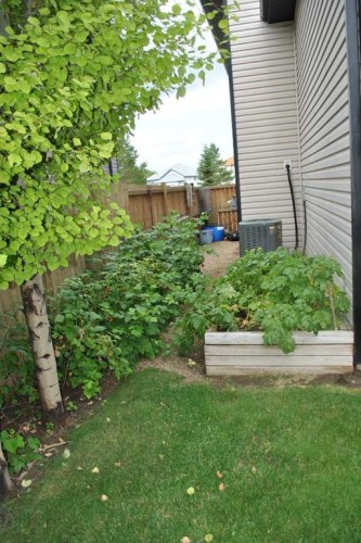 164 Upland Avenue, Brooks, AB - Outdoor