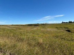 Hwy 9 RR 19-5A  Rural Starland County, AB T0J 2B0