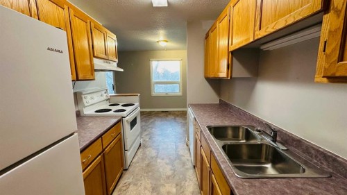 108 Railway Avenue North, Morrin, AB - Indoor Photo Showing Kitchen With Double Sink