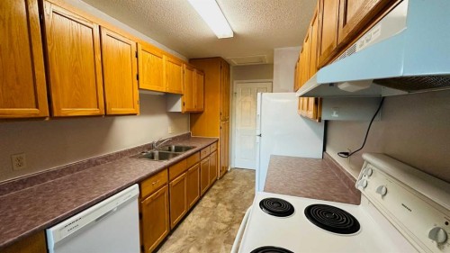 108 Railway Avenue North, Morrin, AB - Indoor Photo Showing Kitchen With Double Sink