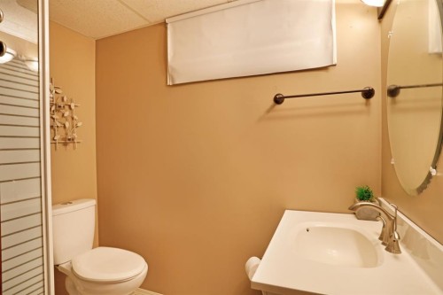1120 2 Avenue East, Brooks, AB - Indoor Photo Showing Bathroom