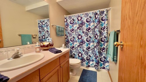30371 Range Road 143, Hanna, AB - Indoor Photo Showing Bathroom