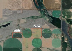 4;12;9;21;NE  Rural Forty Mile No. 8, County Of, AB T0K 0G0