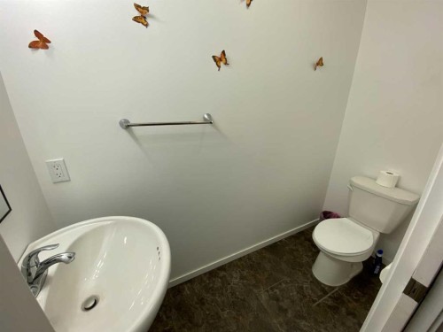 29 Weinmeyer Way, Duchess, AB - Indoor Photo Showing Bathroom