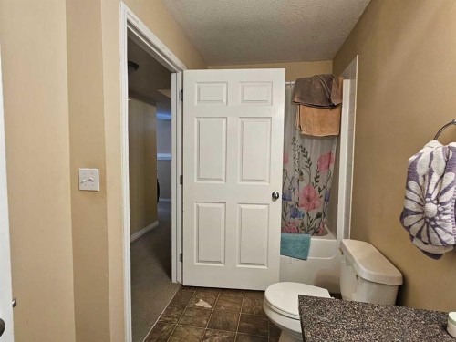 32A Sierra Drive, Olds, AB - Indoor Photo Showing Bathroom
