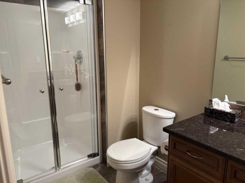 19 Viceroy Crescent, Olds, AB - Indoor Photo Showing Bathroom