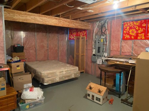 19 Prestwick Green Se, Calgary, AB - Indoor Photo Showing Basement