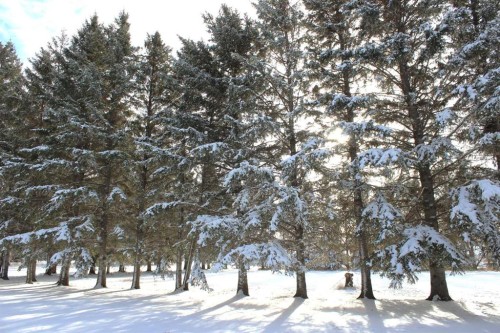 Blue Sign 114 145006 Cassils Rd Subdivision, Rural Newell, County Of, AB - Outdoor With View