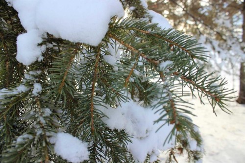 Blue Sign 114 145006 Cassils Rd Subdivision, Rural Newell, County Of, AB - Outdoor With View