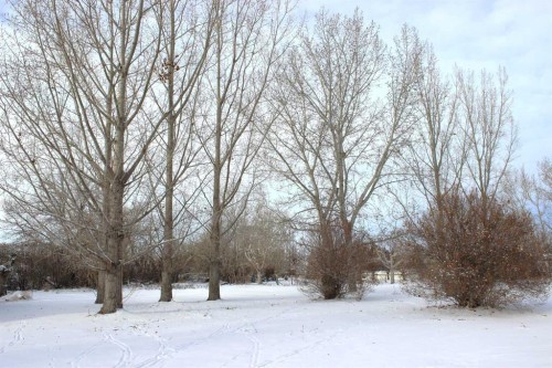 Blue Sign 114 145006 Cassils Rd Subdivision, Rural Newell, County Of, AB - Outdoor With View