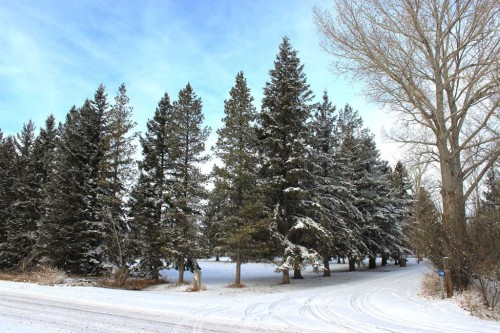 Blue Sign 114 145006 Cassils Rd Subdivision, Rural Newell, County Of, AB - Outdoor With View