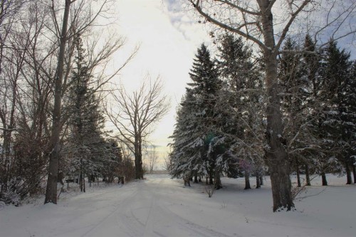 Blue Sign 114 145006 Cassils Rd Subdivision, Rural Newell, County Of, AB - Outdoor With View