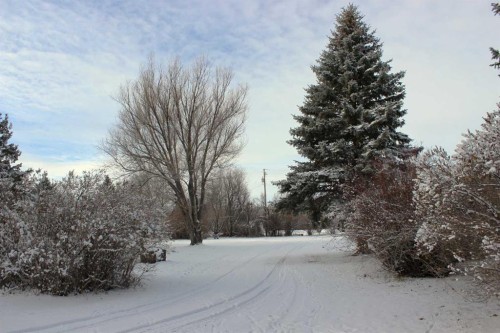 Blue Sign 114 145006 Cassils Rd Subdivision, Rural Newell, County Of, AB - Outdoor With View