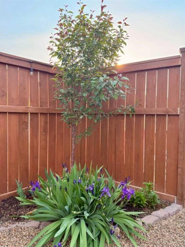 165 10 Avenue Se, Drumheller, AB - Outdoor