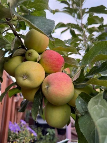 165 10 Avenue Se, Drumheller, AB - Outdoor With View