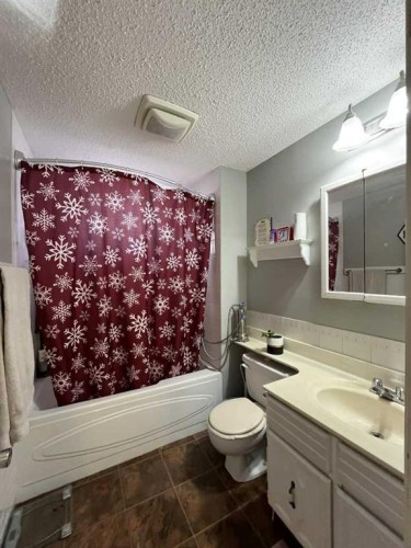 4915 57 Avenue, Taber, AB - Indoor Photo Showing Bathroom