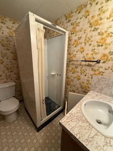 818 James Crescent, Hanna, AB - Indoor Photo Showing Bathroom