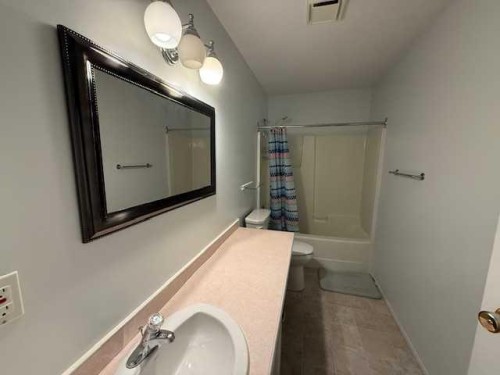 830 Birchwood Close, Drumheller, AB - Indoor Photo Showing Bathroom