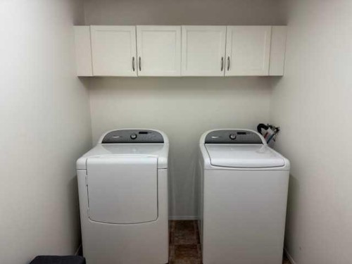 830 Birchwood Close, Drumheller, AB - Indoor Photo Showing Laundry Room