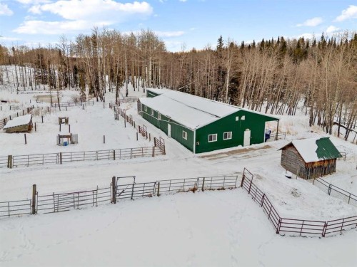 5544 Township Road 302, Rural Mountain View County, AB - Outdoor