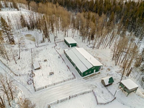 5544 Township Road 302, Rural Mountain View County, AB - Outdoor