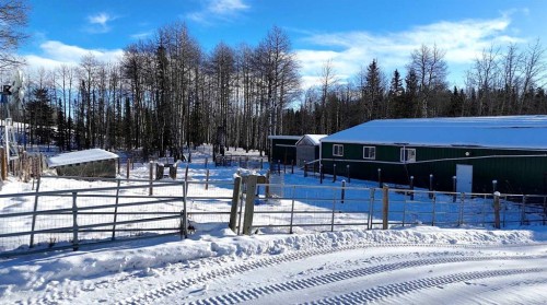 5544 Township Road 302, Rural Mountain View County, AB - Outdoor