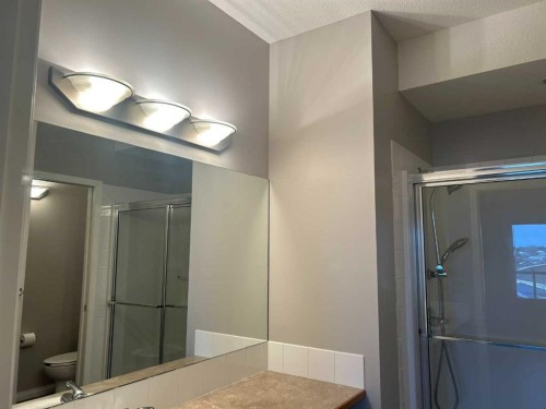 307-4403 67A Avenue, Olds, AB - Indoor Photo Showing Bathroom