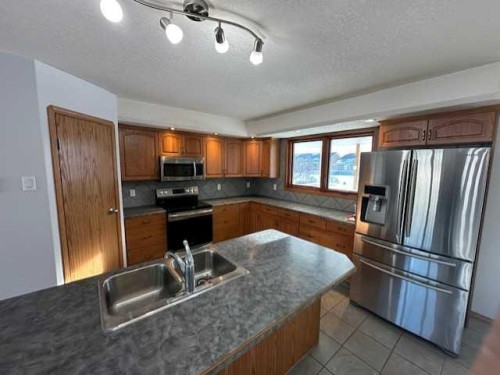 101 Wilkins Place, Hanna, AB - Indoor Photo Showing Kitchen With Double Sink