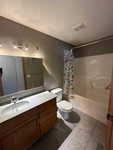101 Wilkins Place, Hanna, AB - Indoor Photo Showing Bathroom