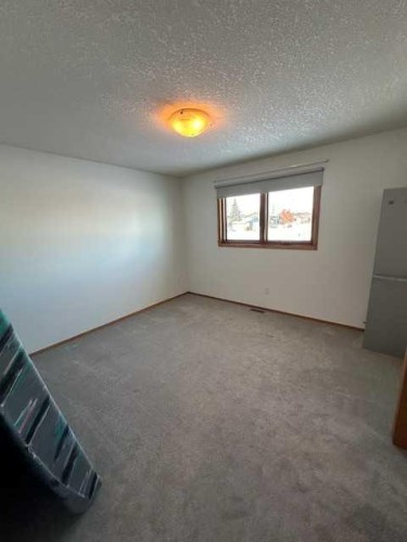 101 Wilkins Place, Hanna, AB - Indoor Photo Showing Other Room