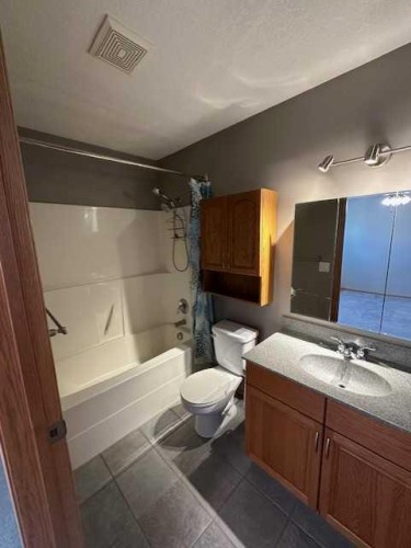 101 Wilkins Place, Hanna, AB - Indoor Photo Showing Bathroom