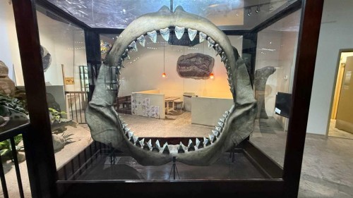 1381 Dinosaur Trail North, Drumheller, AB 