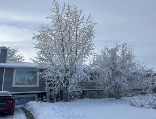 4529 Shannon Drive, Olds, AB - Outdoor