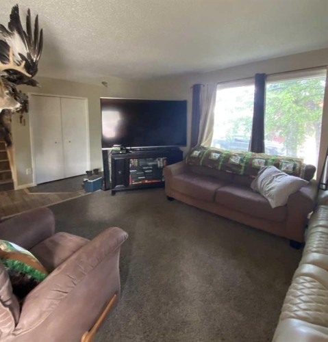 85 Ingram Park Drive, Brooks, AB - Indoor Photo Showing Living Room