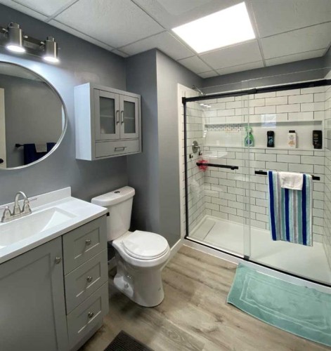 85 Ingram Park Drive, Brooks, AB - Indoor Photo Showing Bathroom