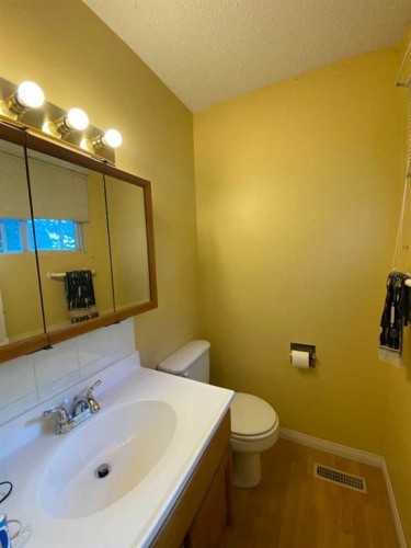 85 Ingram Park Drive, Brooks, AB - Indoor Photo Showing Bathroom